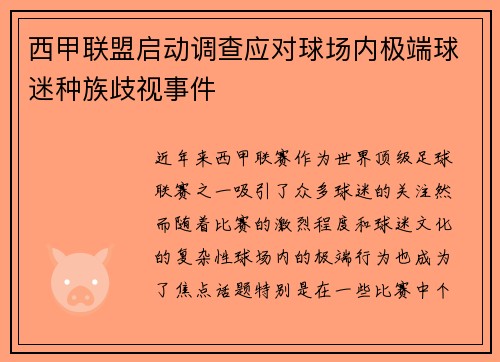 西甲联盟启动调查应对球场内极端球迷种族歧视事件